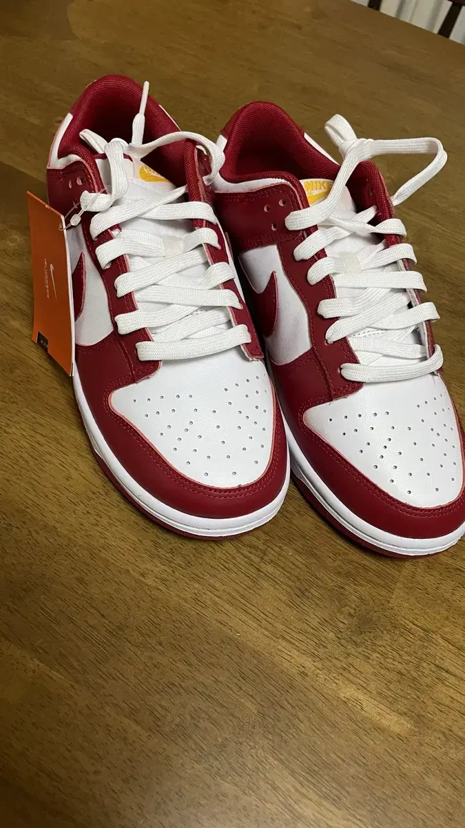 Dunk low retro 260 gym red